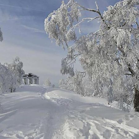 Maison Rurale En Bordure De Foret Schirmeck Kültér fotó