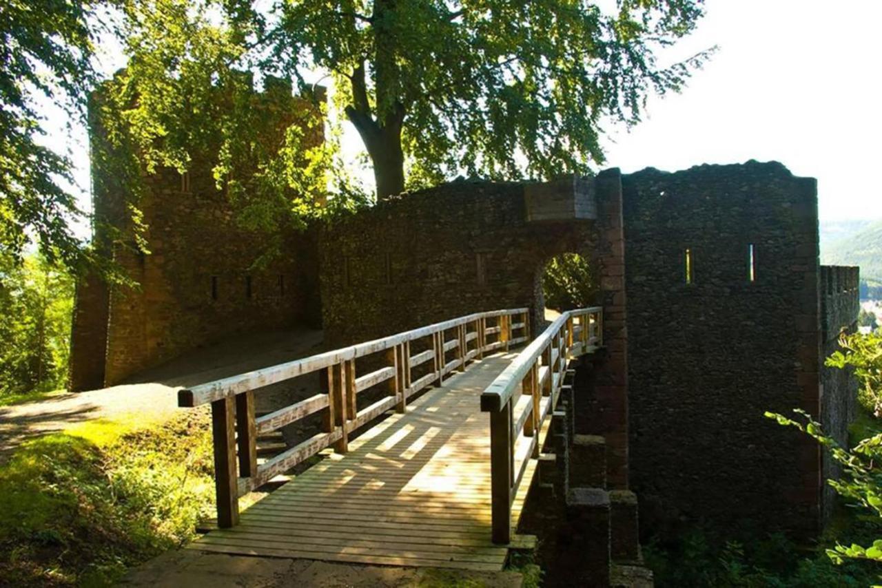 Maison Rurale En Bordure De Foret Schirmeck Kültér fotó