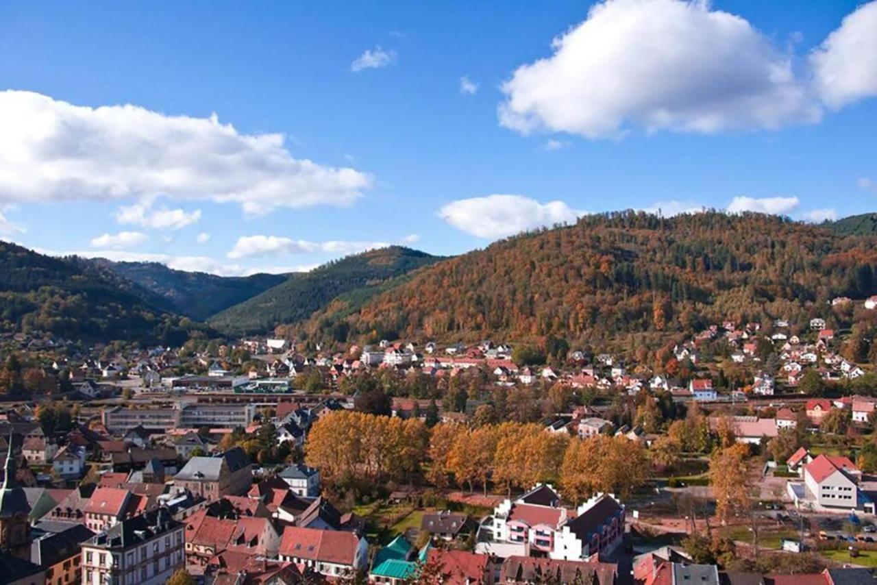 Maison Rurale En Bordure De Foret Schirmeck Kültér fotó