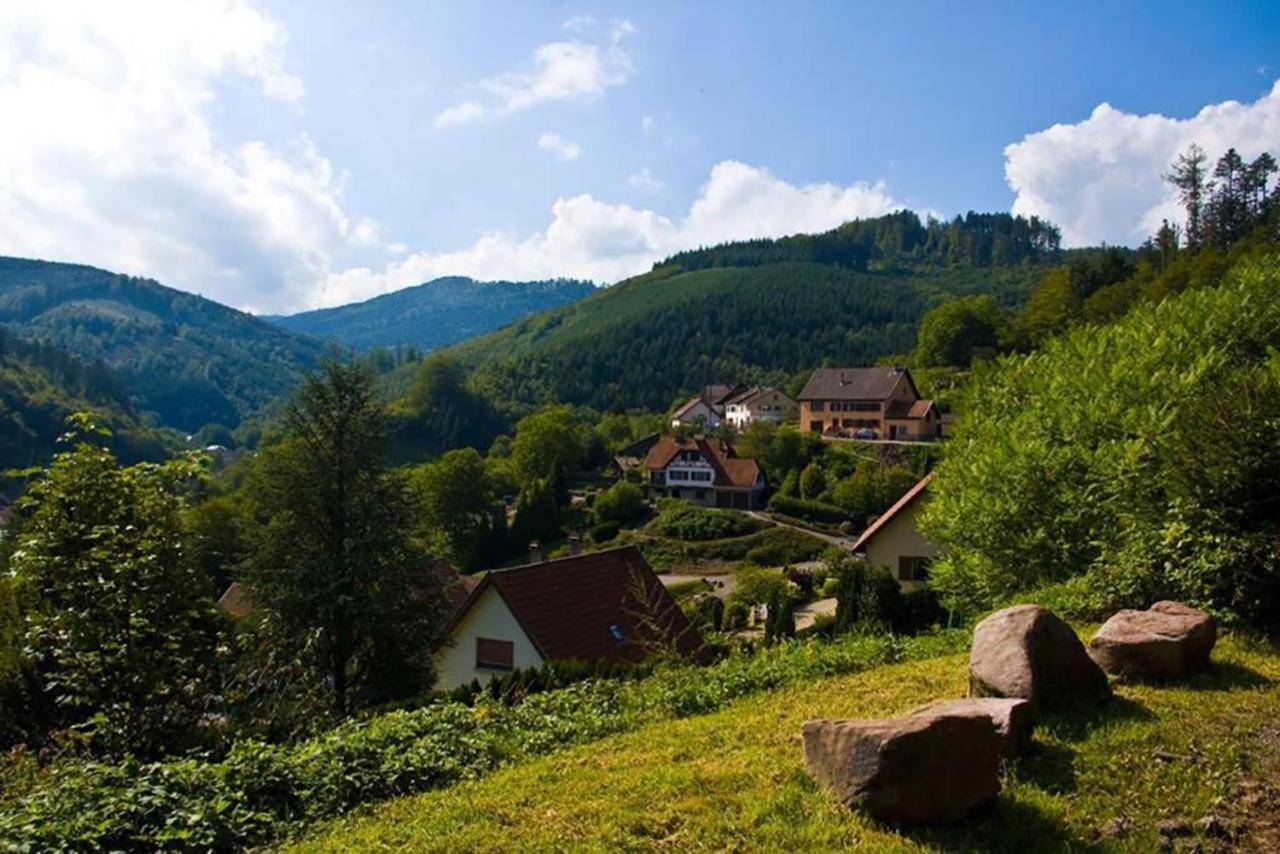 Maison Rurale En Bordure De Foret Schirmeck Kültér fotó