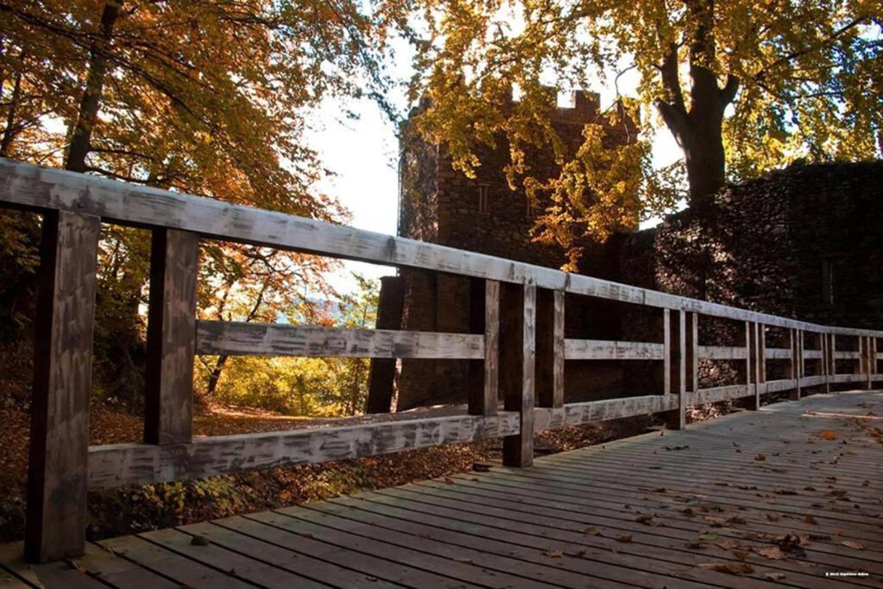 Maison Rurale En Bordure De Foret Schirmeck Kültér fotó